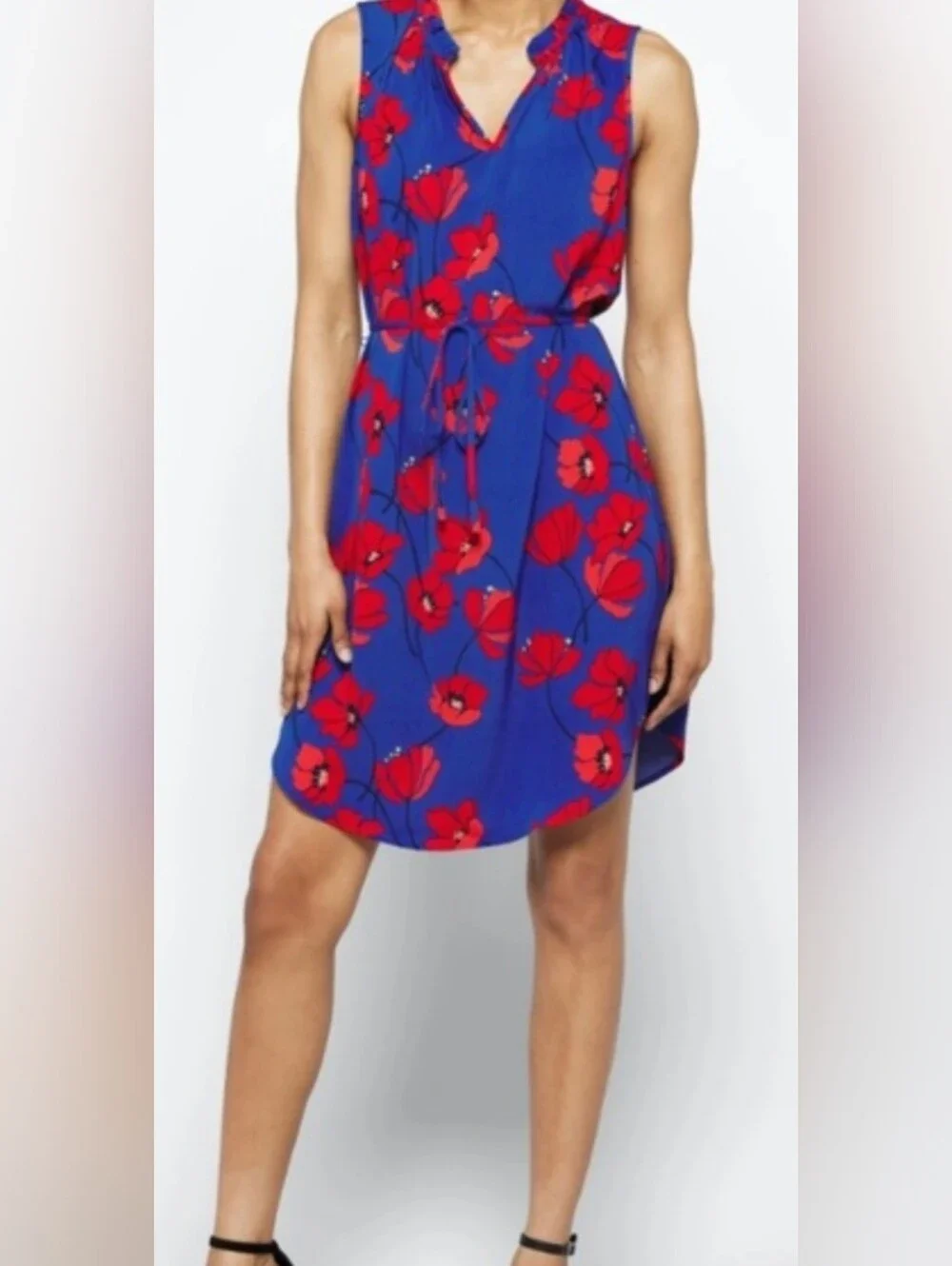41 Hawthorn Blue Dress with Red Floral Print - Picture 1 of 9
